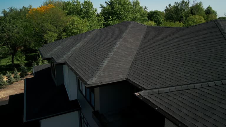 Best Metal Roofing Installation  in Langley Park, MD