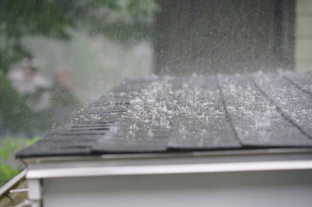 Best Roof Coating and Sealing  in Langley Park, MD